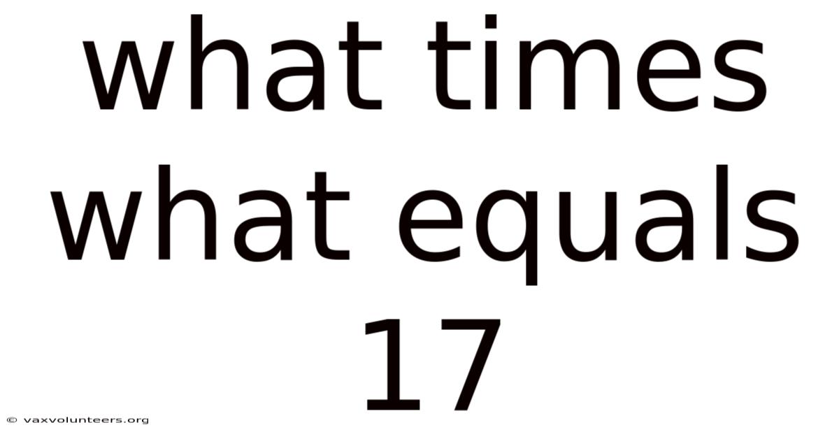 What Times What Equals 17