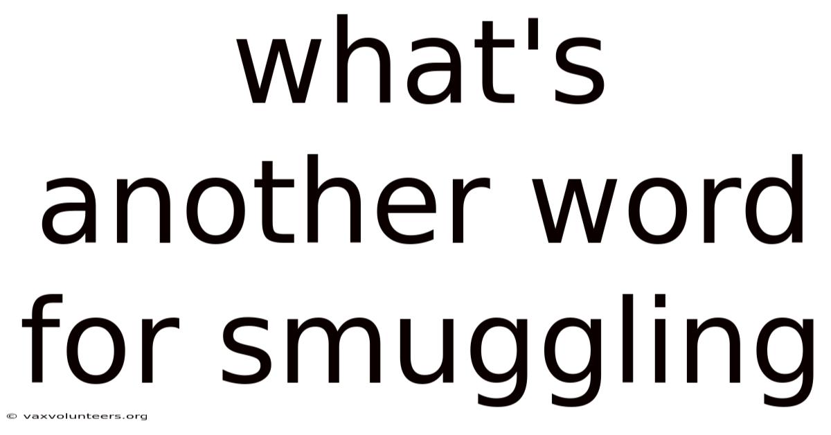 What's Another Word For Smuggling