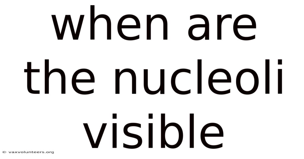 When Are The Nucleoli Visible