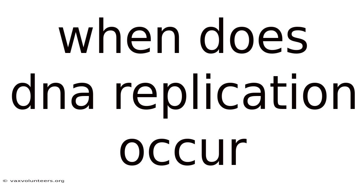 When Does Dna Replication Occur
