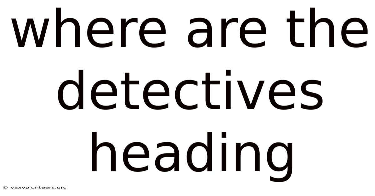 Where Are The Detectives Heading