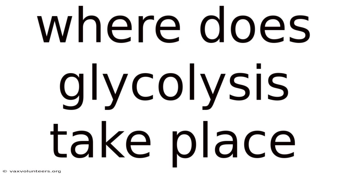 Where Does Glycolysis Take Place