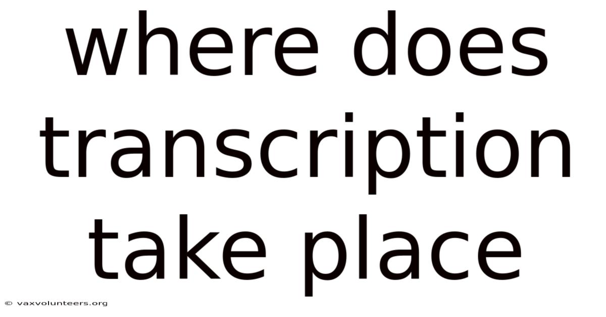 Where Does Transcription Take Place