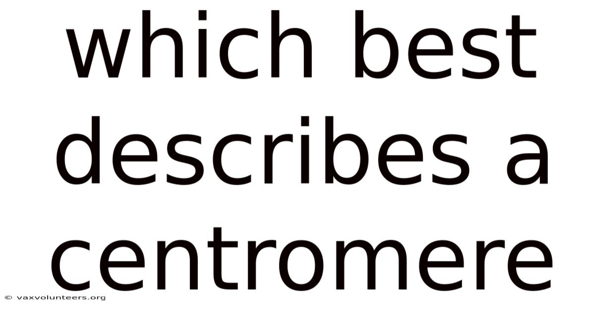 Which Best Describes A Centromere