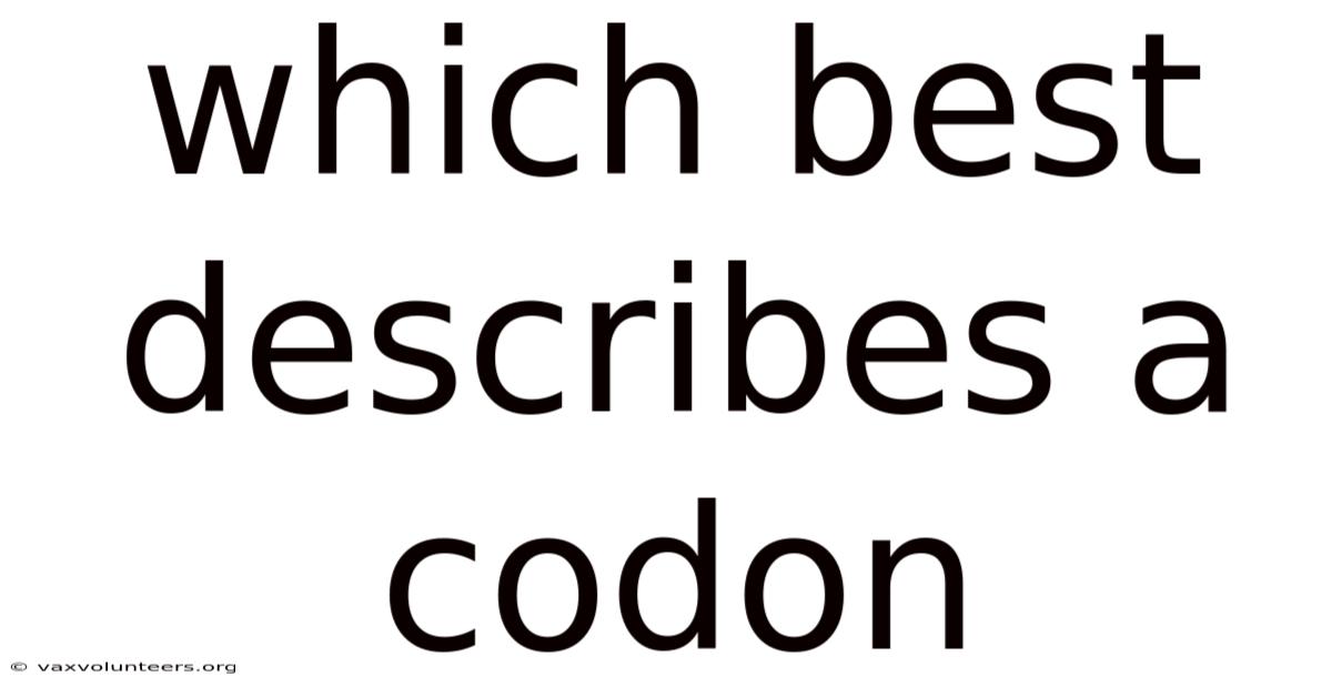 Which Best Describes A Codon