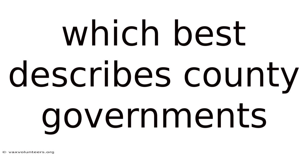 Which Best Describes County Governments