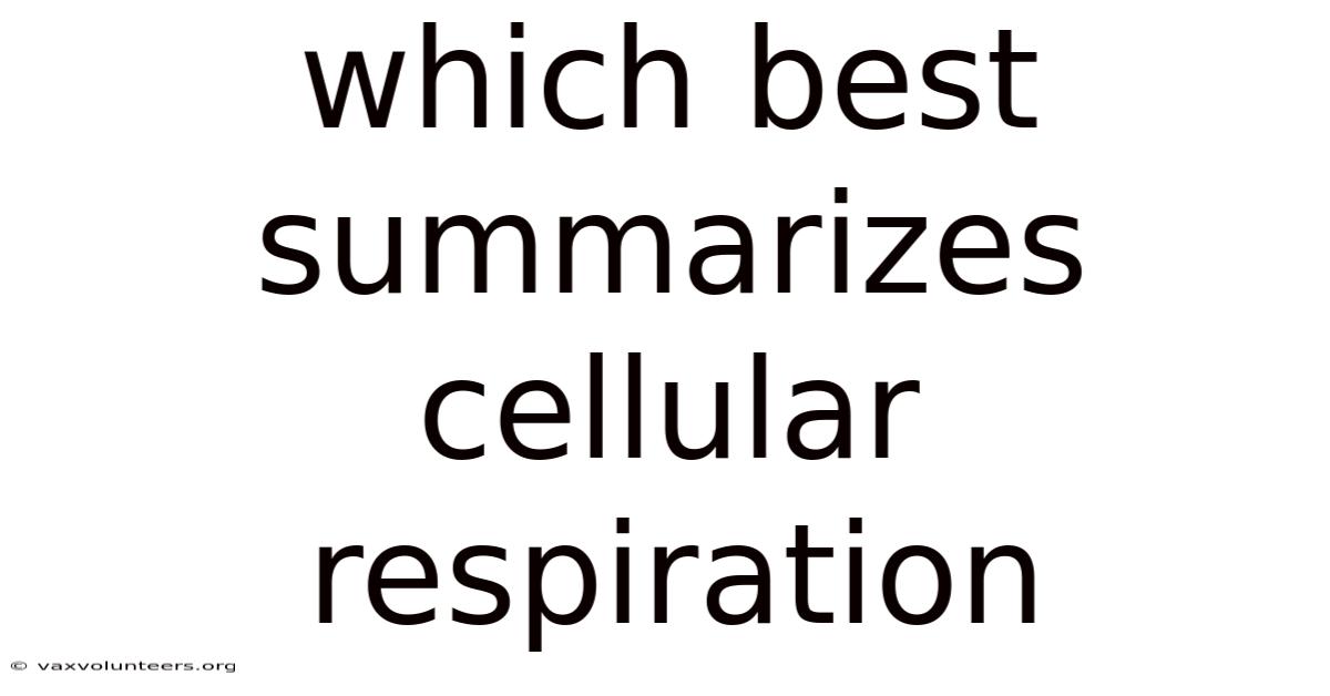 Which Best Summarizes Cellular Respiration