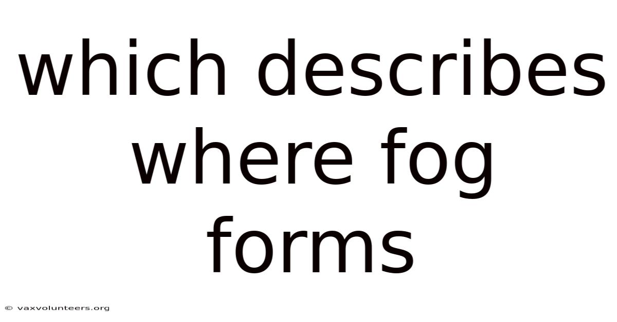 Which Describes Where Fog Forms
