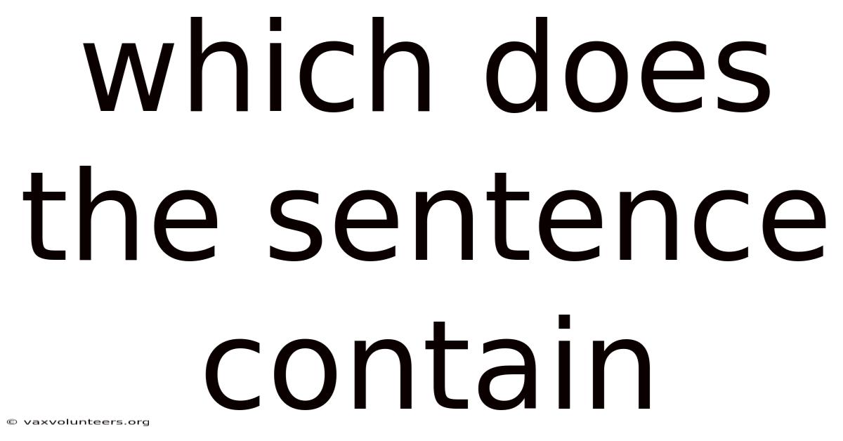 Which Does The Sentence Contain