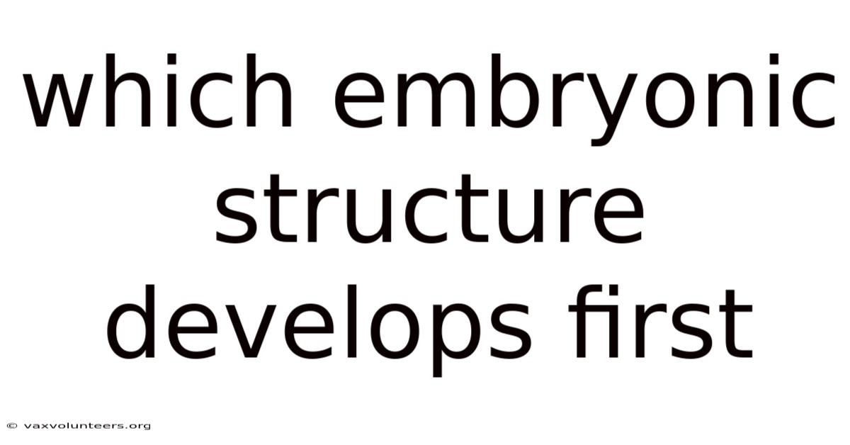 Which Embryonic Structure Develops First