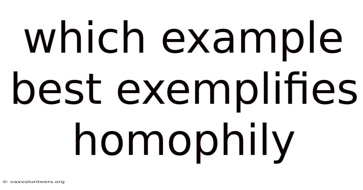 Which Example Best Exemplifies Homophily