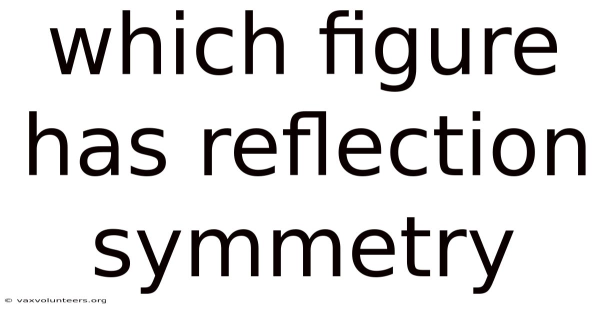 Which Figure Has Reflection Symmetry