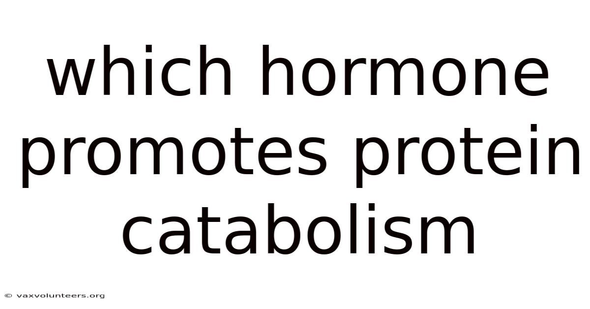 Which Hormone Promotes Protein Catabolism
