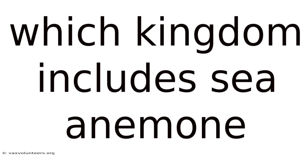 Which Kingdom Includes Sea Anemone