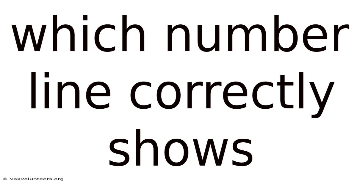Which Number Line Correctly Shows