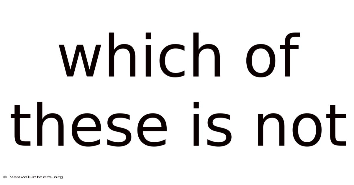 Which Of These Is Not