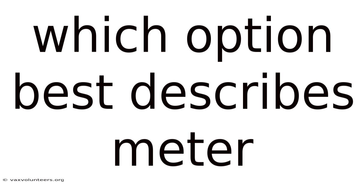 Which Option Best Describes Meter