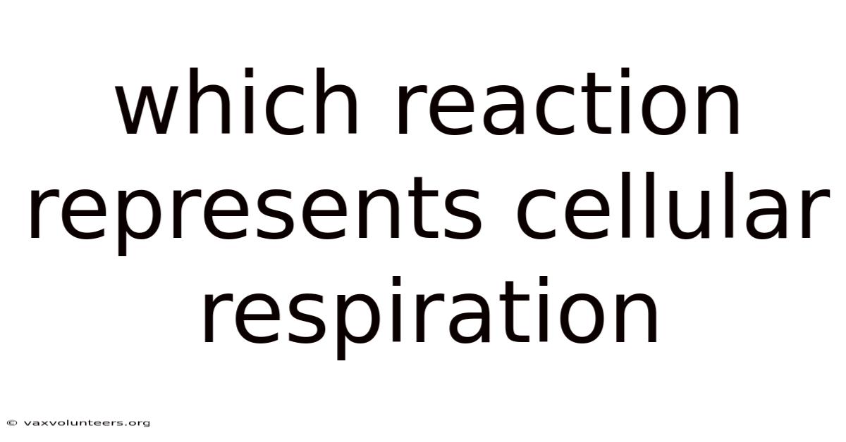 Which Reaction Represents Cellular Respiration