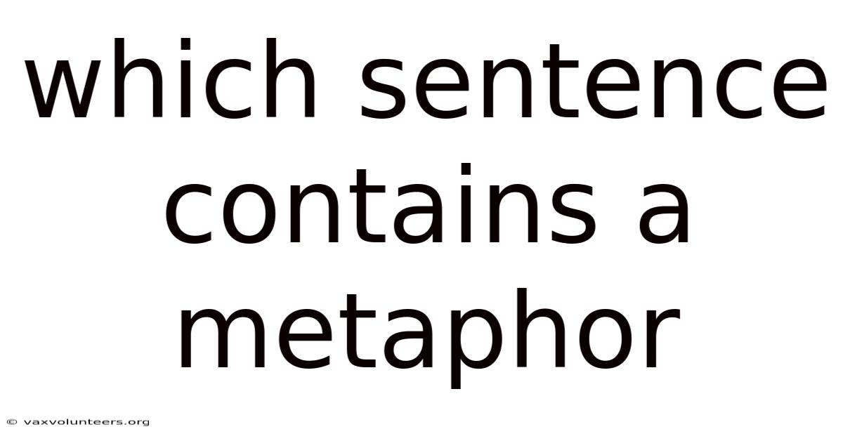 Which Sentence Contains A Metaphor