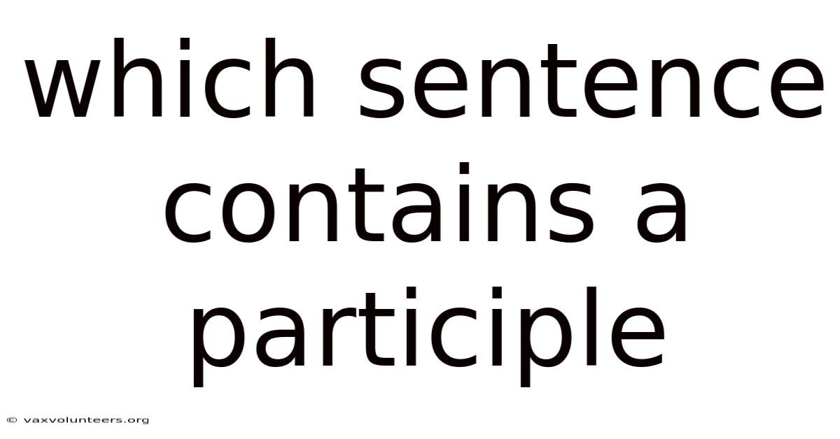 Which Sentence Contains A Participle