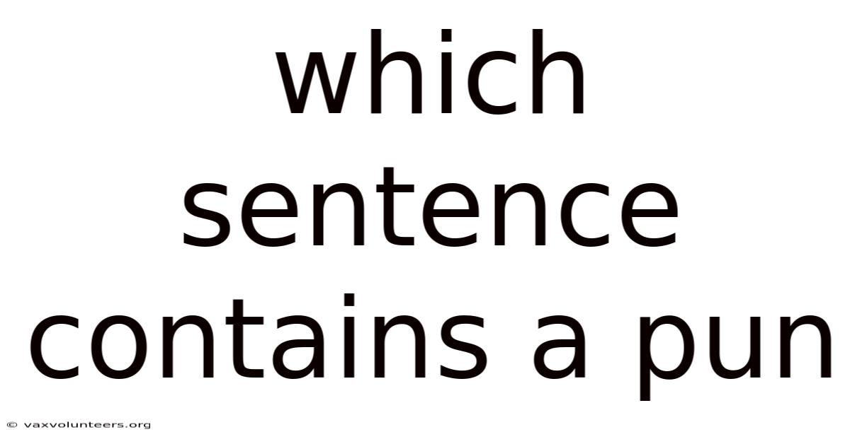 Which Sentence Contains A Pun