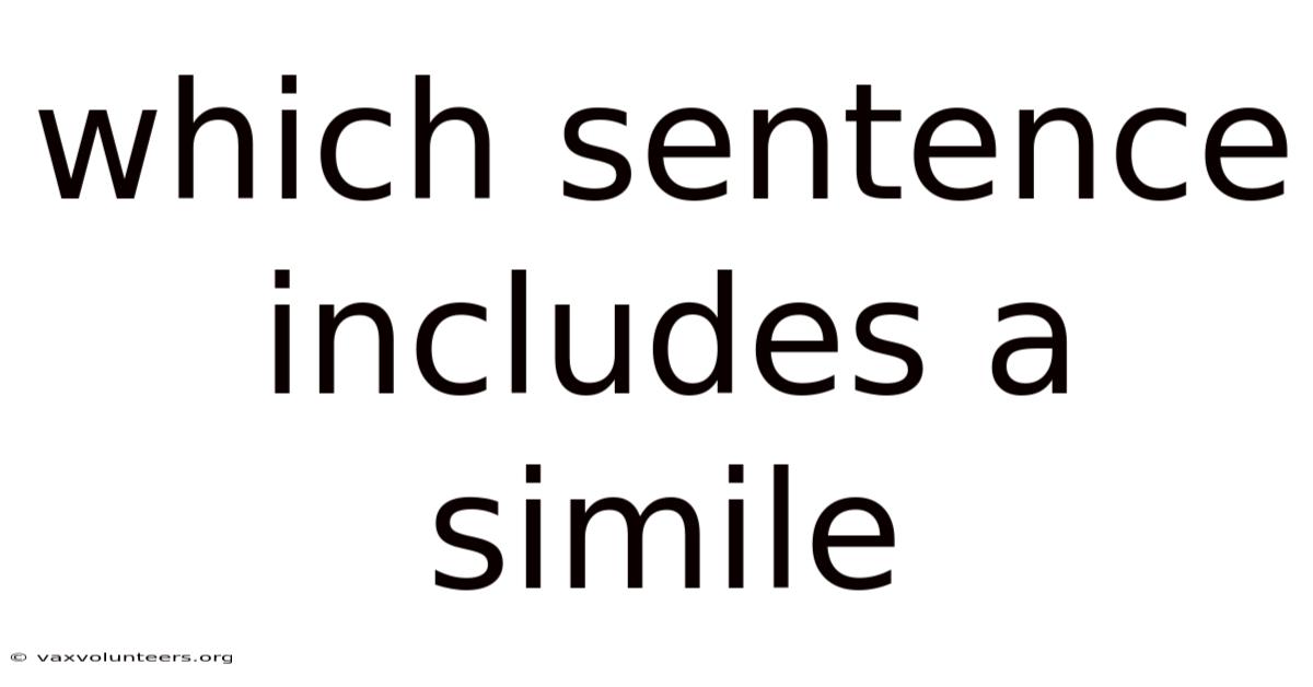 Which Sentence Includes A Simile