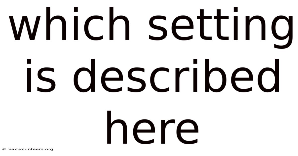 Which Setting Is Described Here
