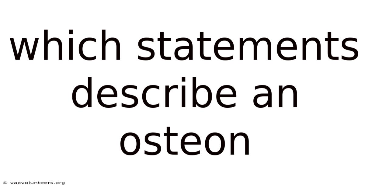 Which Statements Describe An Osteon