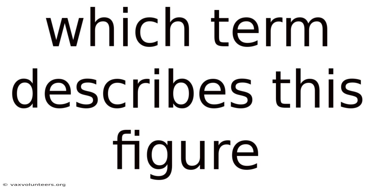 Which Term Describes This Figure