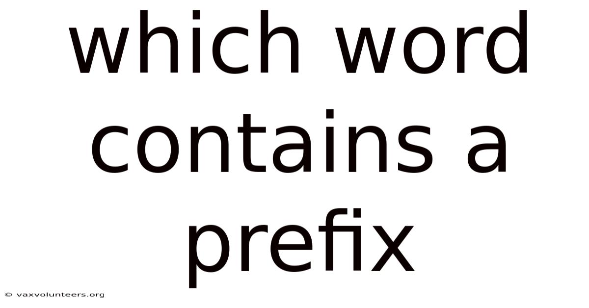 Which Word Contains A Prefix