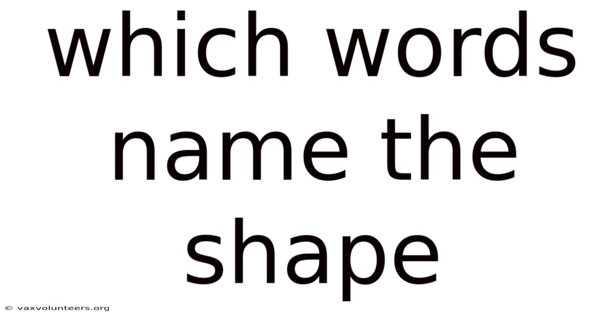 Which Words Name The Shape