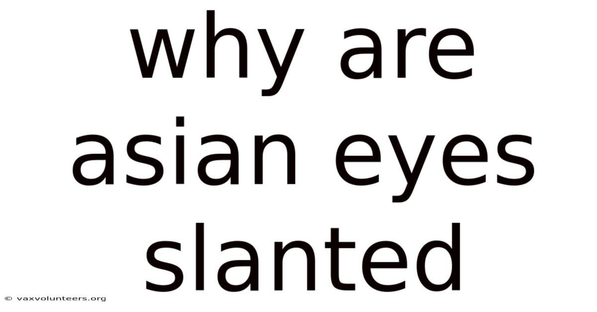 Why Are Asian Eyes Slanted