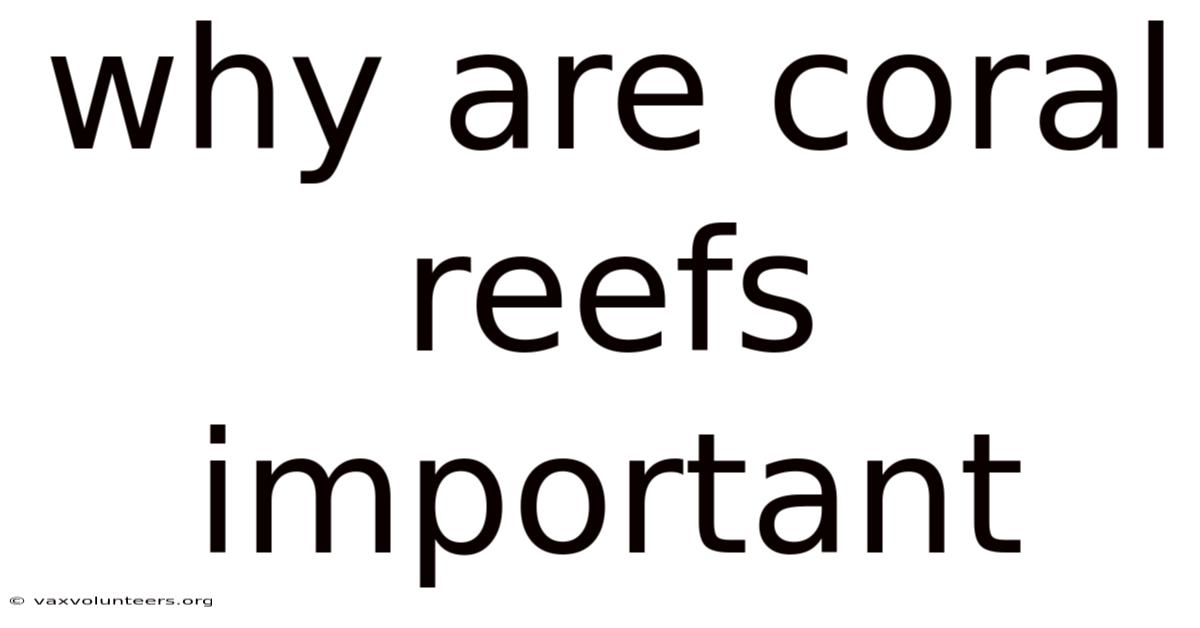 Why Are Coral Reefs Important