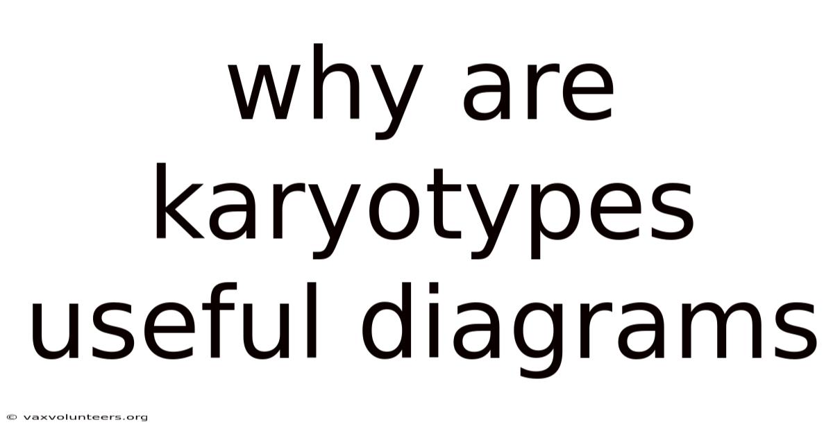Why Are Karyotypes Useful Diagrams