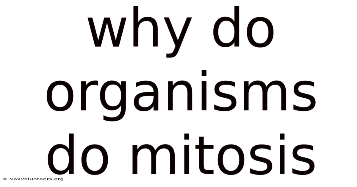 Why Do Organisms Do Mitosis