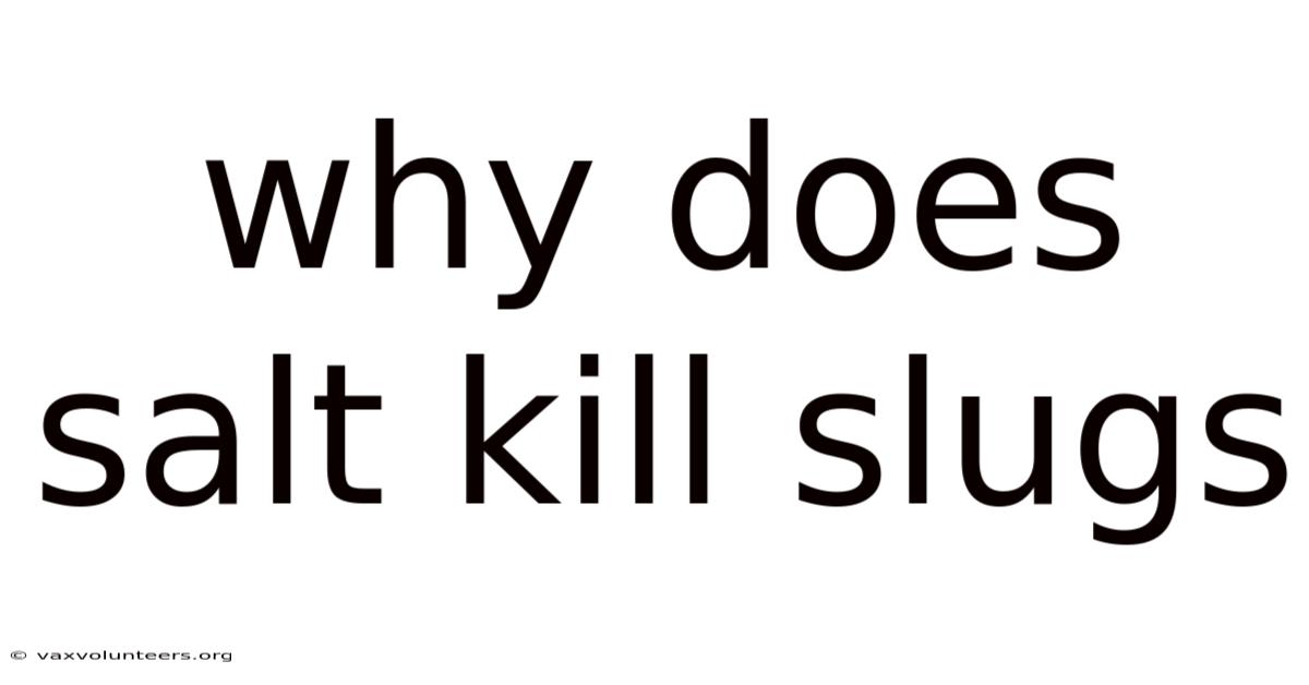 Why Does Salt Kill Slugs
