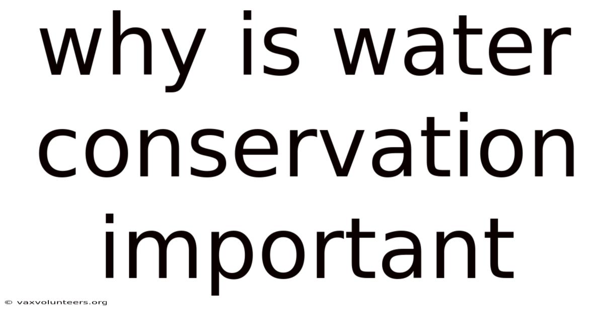 Why Is Water Conservation Important