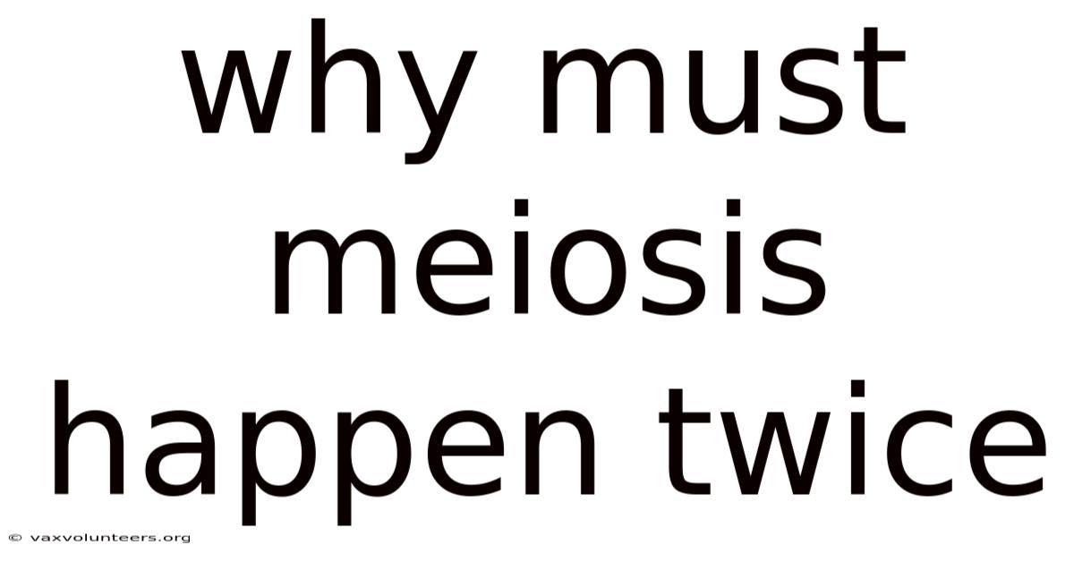 Why Must Meiosis Happen Twice
