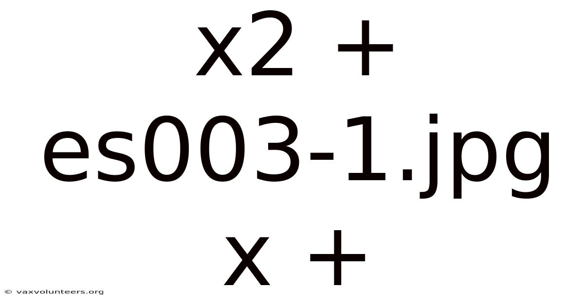 X2 + Es003-1.jpg X +