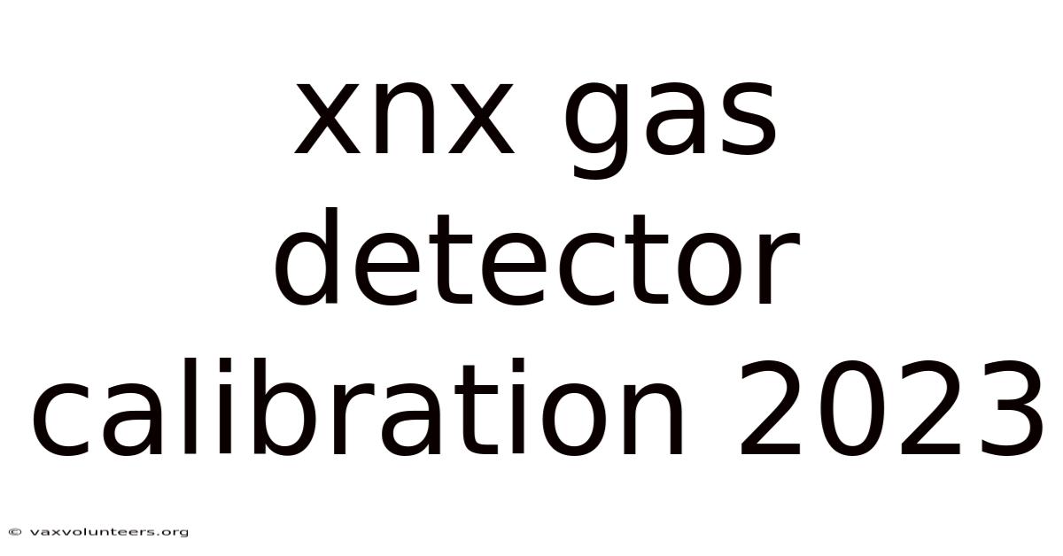 Xnx Gas Detector Calibration 2023