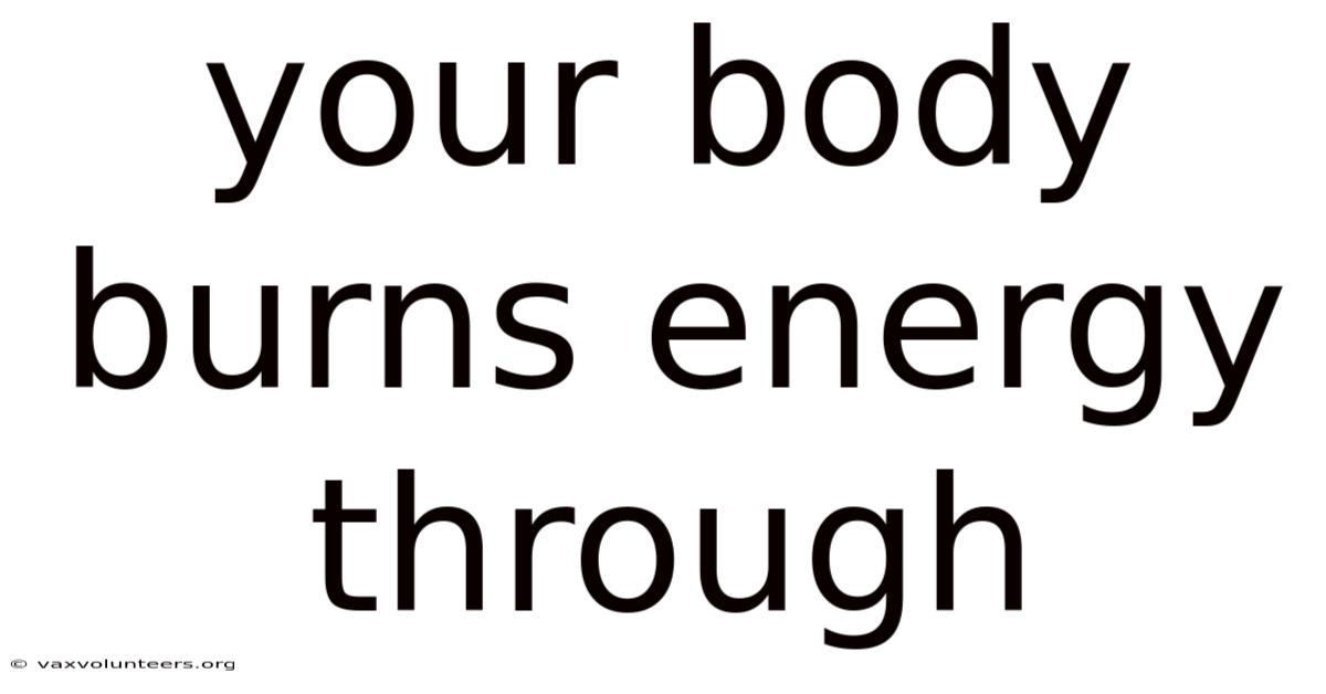 Your Body Burns Energy Through