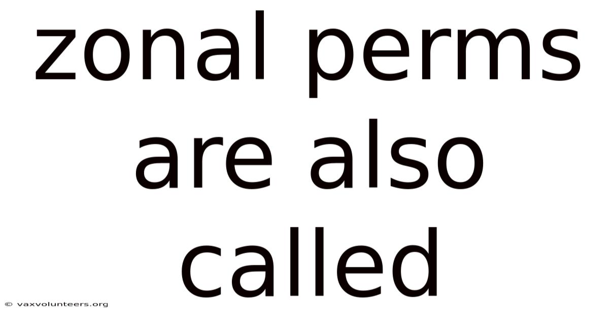 Zonal Perms Are Also Called